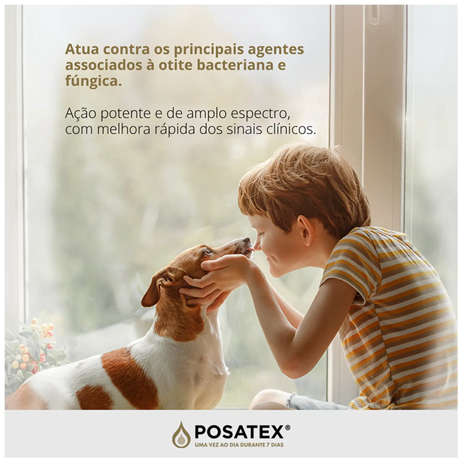 Posatex Suspensão Otológica para Cães